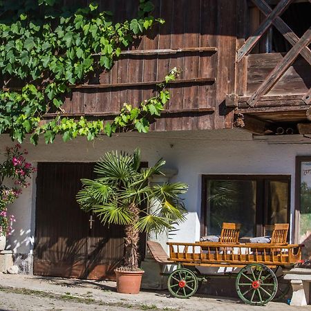 Bio Turisticna Kmetija Frcej-Zupan Vila Bled Exterior foto
