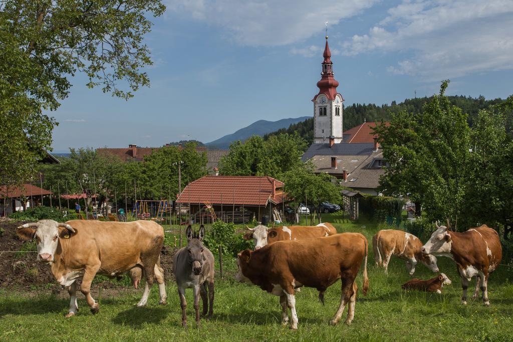 Bio Turisticna Kmetija Frcej-Zupan Vila Bled Exterior foto